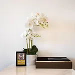 The Rixx Metropolitan@D1/Ben Thanh/Family/Pool/Gym